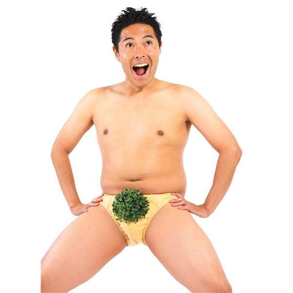 ds-〔コスプレ衣装／コスチューム〕 宴会の達人 もじゃもじゃ葉っぱパンツ 〔ハロウィン パーティー 宴会〕
