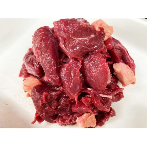 ynhEnEzÔn@n؂oIύݗp@i500@864j