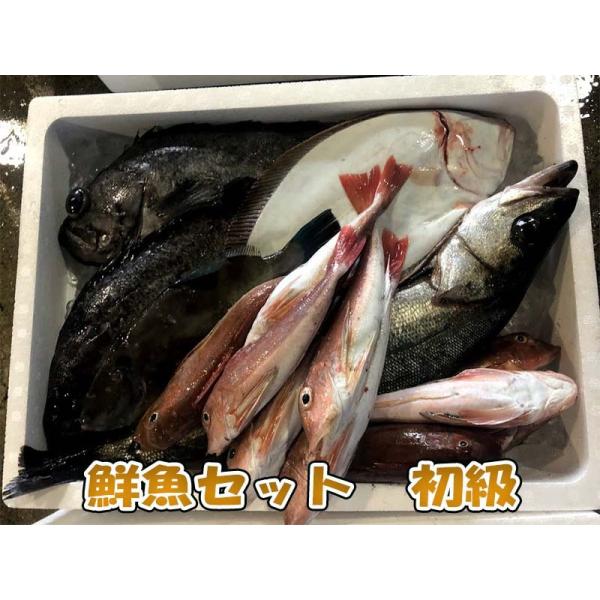 鮮魚セット産地直送 新潟村上の漁師が直販する日本海の鮮魚詰合せ 初級 Buyee Buyee 提供一站式最全面最專業現地yahoo Japan拍賣代bid代拍代購服務