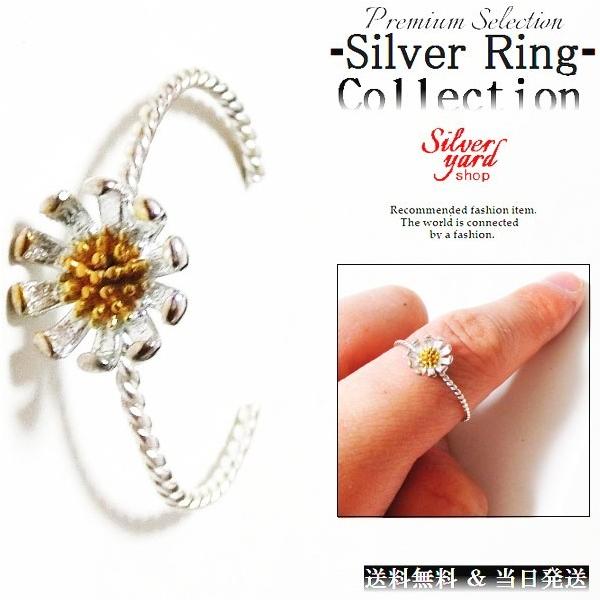 w t[TCY Vo[ Y fB[X O  a t[ ㎿ ANZ  ANZT[ Vi j  v[g SY012