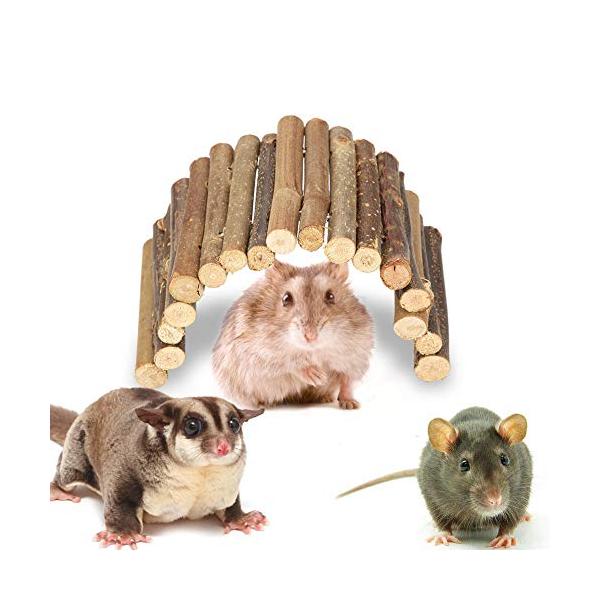 翻訳する インチ 最も早い ハムスター 噛む おもちゃ Enriqueluna Org