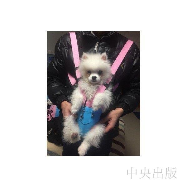 抱っこ紐 犬用 ペット リュックサック キャリーバッグ 抱っこにおんぶ ドッググッズ スリング バッグ リュックサック メッシュ ネコ 犬 抱っこ 小型 犬 Zz 1008 Cwd177 中央出版 通販 Yahoo ショッピング