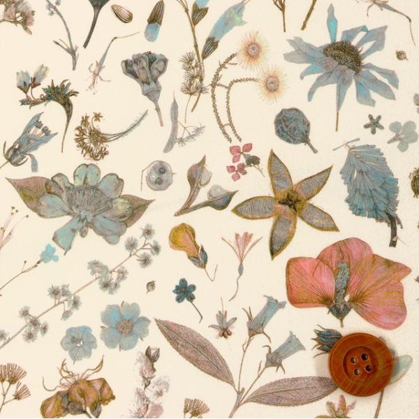 iThE̔FjoeBEt@ubNX ^i[wFloral Eve t[ECxCgu[O[i13-3633189/J20Bj