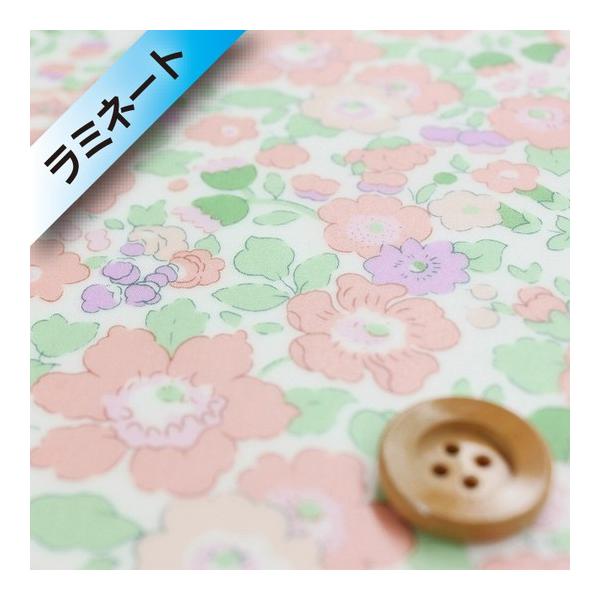 iThEIWiJ[joeBEt@ubNX ^i[i~l[gHjwBetsy xbcBxX[L[sNi3332019/J16Bj