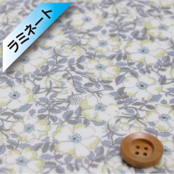 oeBvg ^i[i~l[gHjwMay Morris CEXxO[CG[i19-1229214/XEj