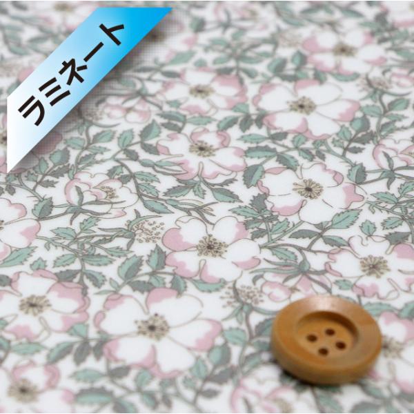 oeBvg ^i[i~l[gHjwMay Morris CEXxX[L[O[sNi19-1229214/YEj