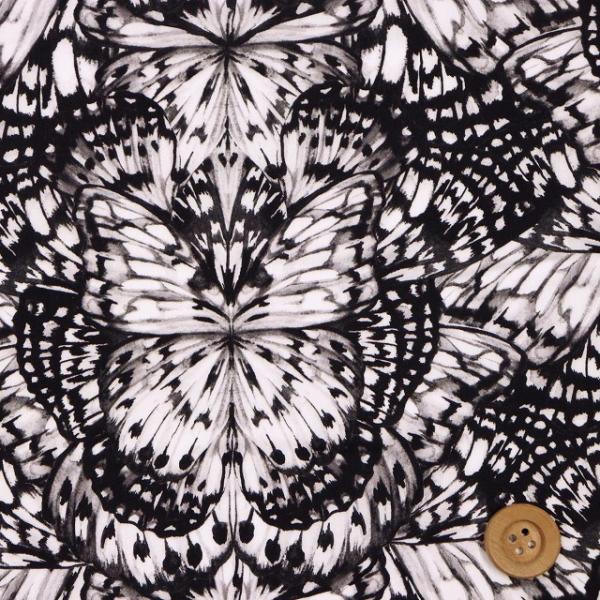 oeBEt@ubNX ^i[wKaleidoscope JChXR[vxubNi22-3632144/22BTj