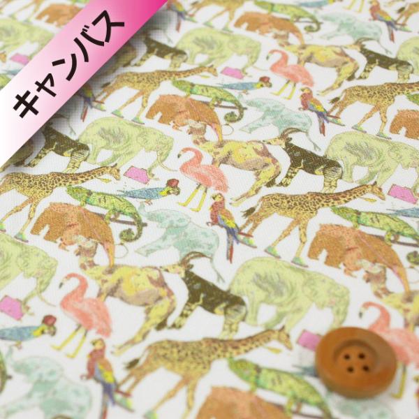 iThE蕜FjoeBEt@ubNXi11zjwQueue for the Zoo L[EtH[EUEY[xsNCG[i14-3634160/14Bj