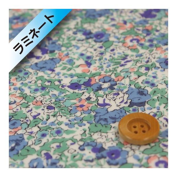 oeBvg ^i[i~l[gHjwClaire-Aude NAEI[hxCgu[O[i3332022/AEj