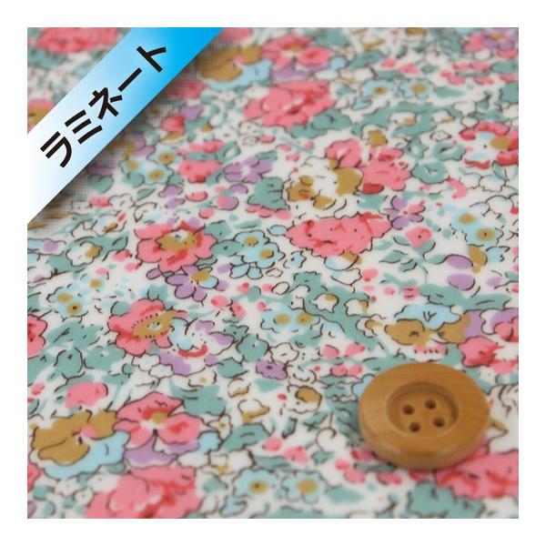 oeBvg ^i[i~l[gHjwClaire-Aude NAEI[hxsNCgu[i3332022/DEj