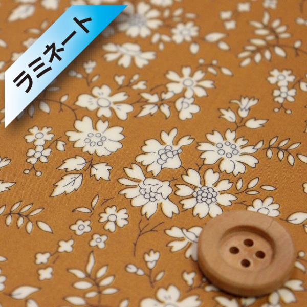 iY^ThE蕜FjoeBEt@ubNX ^i[i~l[gHjwCapel JyxNVbN}X^[hi3333055/Gj