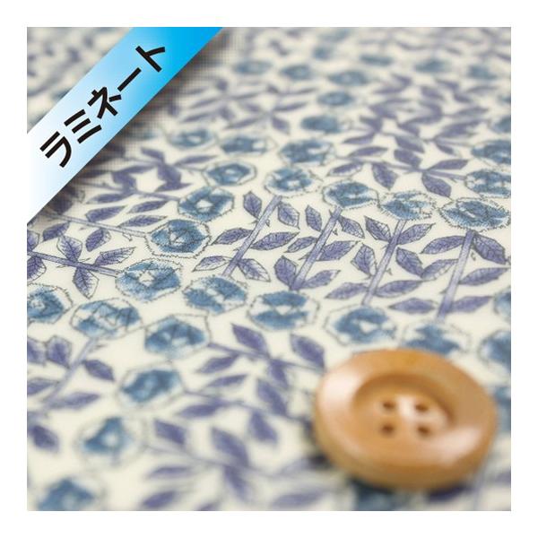 oeBvg ^i[i~l[gHjwSleeping Rose X[sOE[Yxu[i3630275/AEj