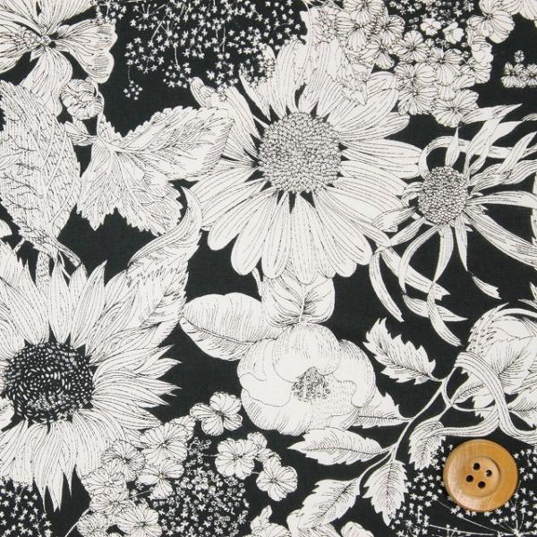 oeBvg ^i[wSwim Dunclare XCE_NAxubNi5672151S/TEj