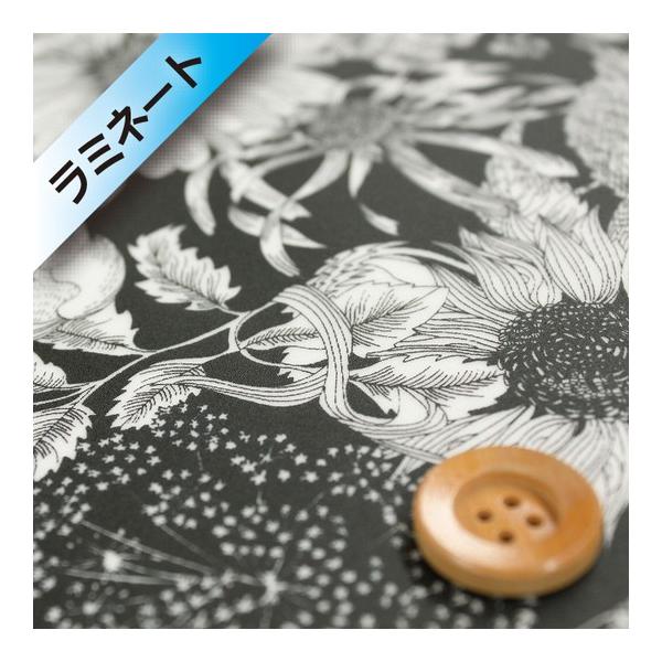 oeBvg ^i[i~l[gHjwSwim Dunclare XCE_NAxubNi5672151S/TEj