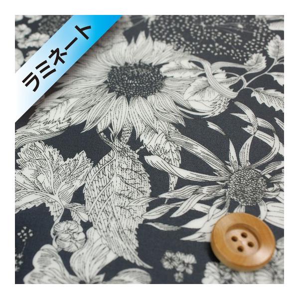 oeBvg ^i[i~l[gHjwSwim Dunclare XCE_NAxlCr[i5672151S/ZEj