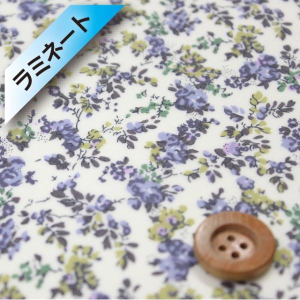 oeBEt@ubNX ^i[i~l[gHjwMoon moth [EXxO[ iThE蕜F/8883225EZEj