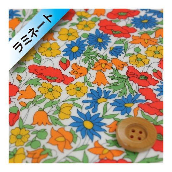 oeBEt@ubNX ^i[i~l[gHjwPoppyDaisy |s[fCW[xIWu[i3632104/MEj