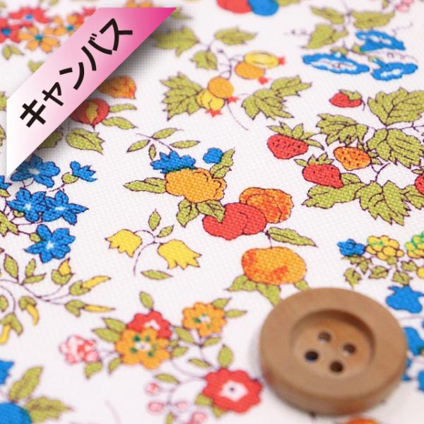 oeBEt@ubNXi11zjwNancy Ann iV[EAxIWu[i96-3286253/Cj