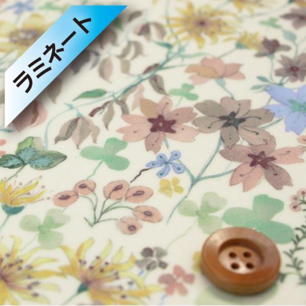 oeBEt@ubNX ^i[i~l[gHjwAmber's Posy Ao[YE|W[xx[WuEiDC28672/XEj