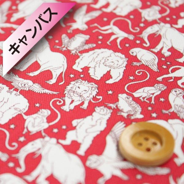 oeBEt@ubNXi11zjwMidnight Mischief ~bhiCgE~X`[txbhijiDC29894/J19Fj