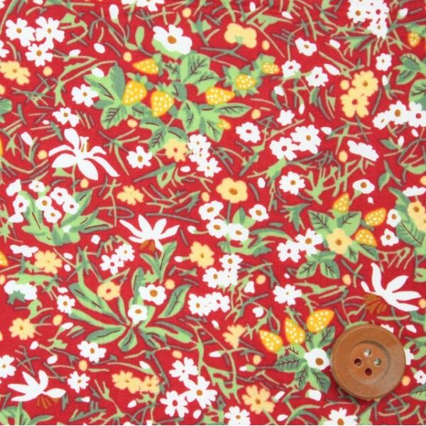 oeBEt@ubNX ^i[wStrawberry Patch Sparkle Xgx[Epb`EXp[NxbhiDC31037/J20Bj