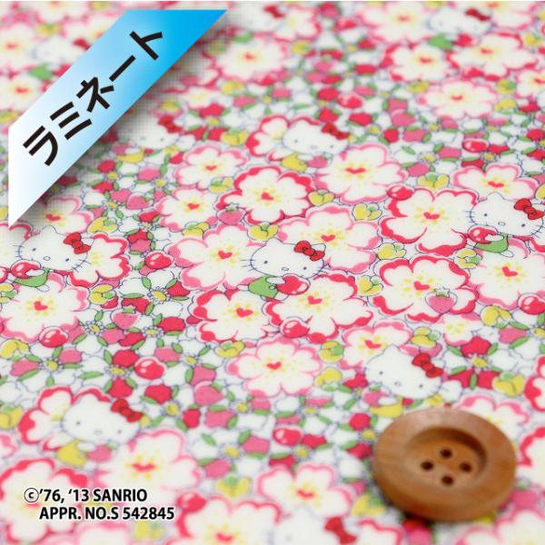 i蕜Fjn[LeB×oeBvgi~l[gHjwFloral Heart t[En[gxfB[vsNiDC27724/J13Aj