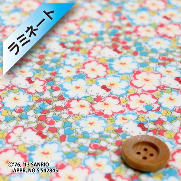 i蕜Fjn[LeB×oeBvgi~l[gHjwFloral Heart t[En[gxCgu[bhiDC27724/J13Cj