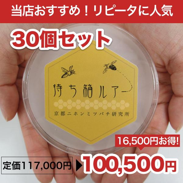 [Release date: February 12, 2026]2月12日発送の予約商品となります。スムシっ子カードや巣箱などの他の商品を一緒に購入された場合、同じタイミングでの発送となりますのでご注意ください。製品外観、名称、製造元名称...