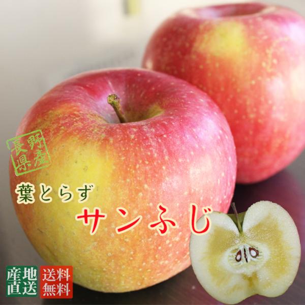 長野県産 葉とらず サンふじ 5kg ギフト対応可 信州りんご 送料無料　