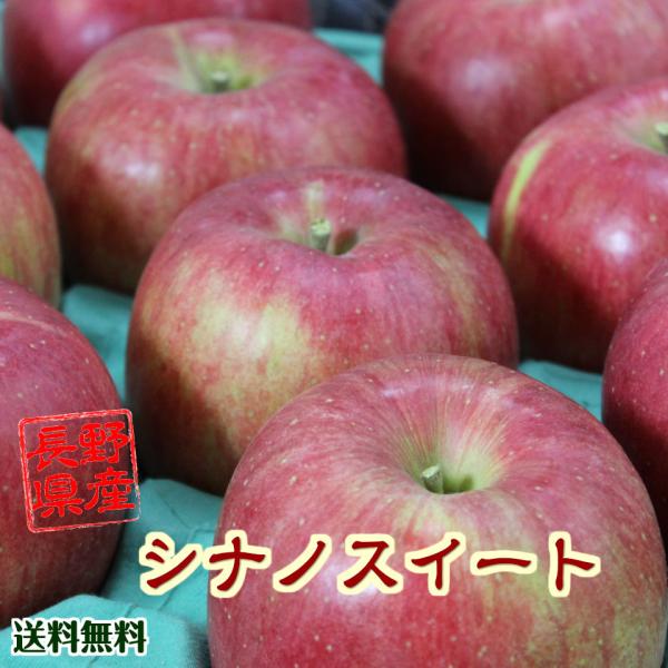 りんご 送料無料 長野県産 シナノスイート 約５kg