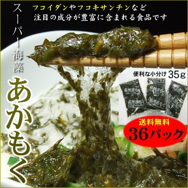 ギバサ 送料無料の人気商品 通販 価格比較 価格 Com