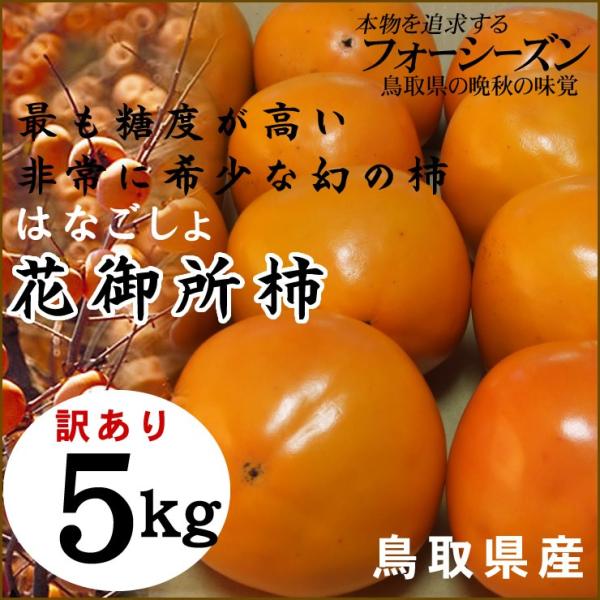 花御所柿 訳あり ５ｋｇ へたすき 送料無料 鳥取県特産品 常温 はなごしょ かき 柿 カキ Buyee Buyee Japanese Proxy Service Buy From Japan Bot Online