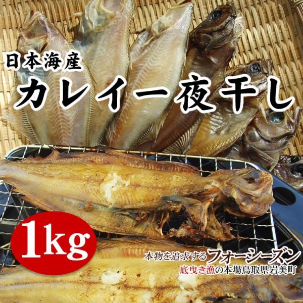 󂠂 {CY JC銱 1Zbg  1z2Zbgȏエグ1Zbg * Ⓚ