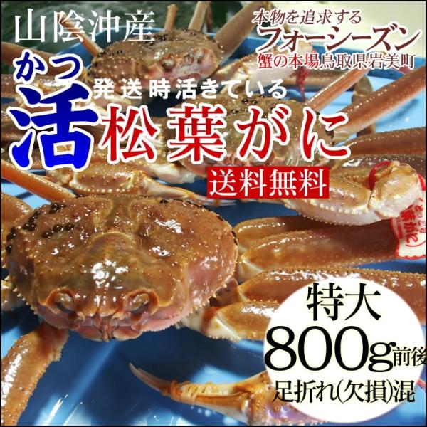 Jj  I Yi \̔ ɊĂ t 󂠂 ܂ꍬ @1 800gO 