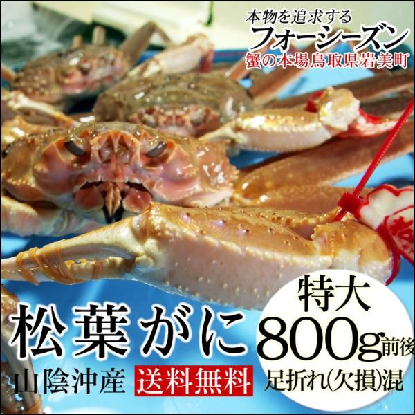 Jj  I Yi  \̔  t  󂠂 ܂ꍬ 1 800gO