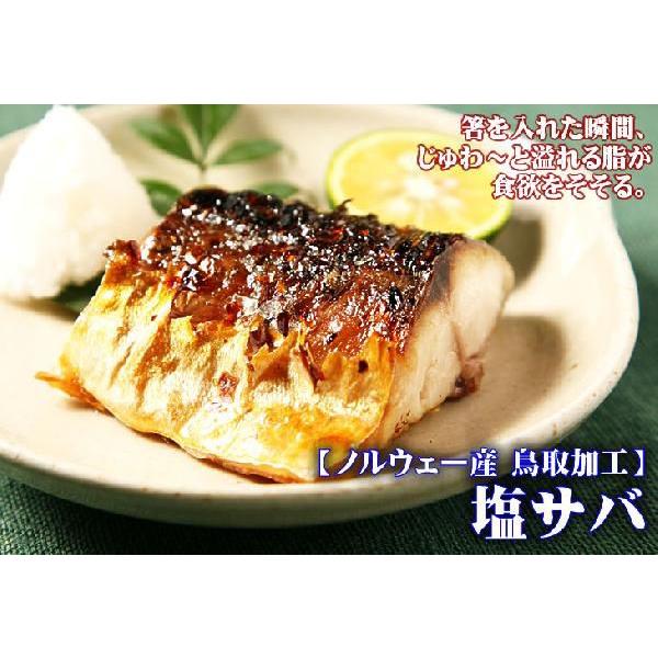 塩サバ 特大 1匹 400g前後 冷凍 脂ののったノルウェー産を鳥取の伝統ある加工で塩サバに さば 塩鯖 :Y-siosabaR004:本物を追求する フォーシーズン - 通販 - Yahoo!ショッピング 塩サバ 特大 1匹 400g前後 冷凍 脂ののったノルウェー産を鳥取の伝統ある加工で塩サバに さば 塩鯖 :Y-siosabaR004:本物を追求する フォーシーズン - 通販 - Yahoo!ショッピング