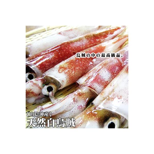 CJ G TtZbg 60-90gx5t  Ⓚ RAY CJ G VCJ@|Cggp