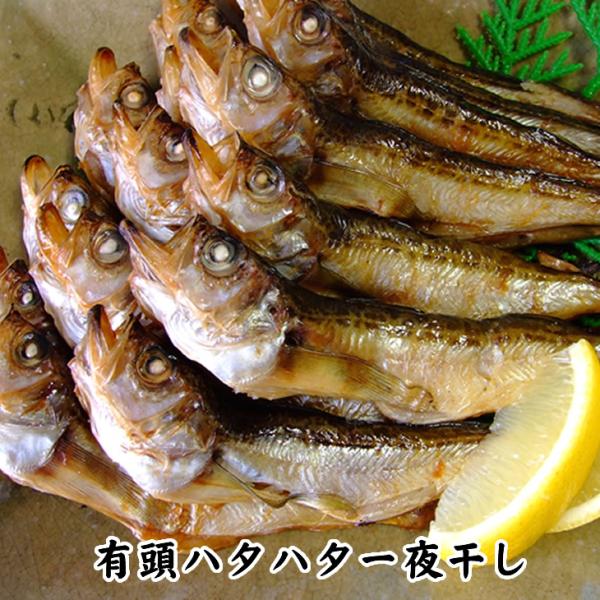送料無料 ハタハタ 一夜干し 有頭 １ｋｇ 日本海産 冷凍 ハタハタ はたはた 干しはたは た 干物 Y Yuhatahosi1k 本物を追求する フォーシーズン 通販 Yahoo ショッピング