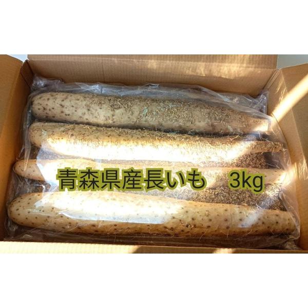 「長いも」といえば青森県産日本の中で有数の長いもの出荷量を誇る青森県十和田市。ミネラル豊富な八甲田連峰のふもとの水はけのよい大地と「ヤマセ」の影響により寒暖差の大きい気候の中でつくられた長いもはシャキシャキとした食感と、とろーりとした粘りが...