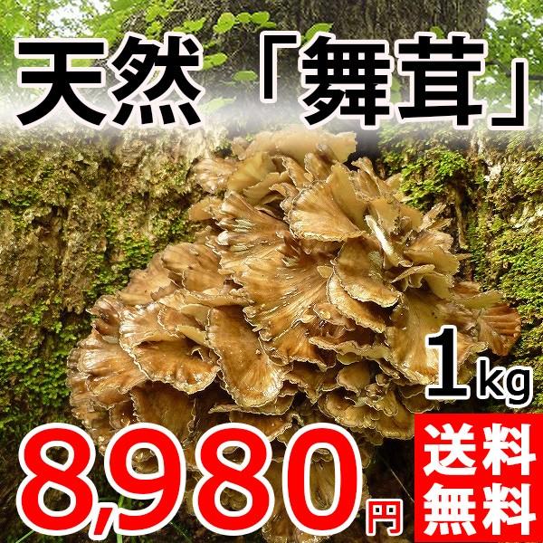 天然キノコ　マイタケ1500g ② 本日15時迄 山形県産 天然舞茸3.4kg マイタケ まいたけ きのこ キノコ 茸 27