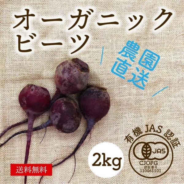 有機ビーツ2kｇ オーガニックビーツ有機栽培有機野菜野菜化学肥料 農薬不使用産地直送送料無料 Sサイズ Buyee Buyee 提供一站式最全面最專業現地yahoo Japan拍賣代bid代拍代購服務