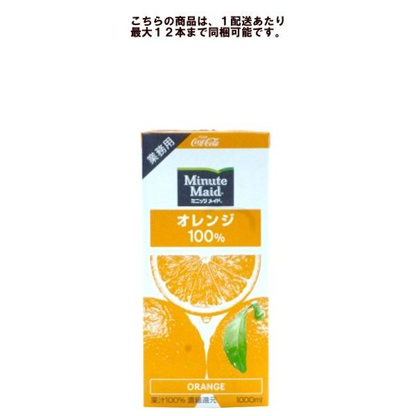 ミニッツメイド オレンジ 100％ 1000ml パック×１本 【12本毎に1個口送料かかります】
