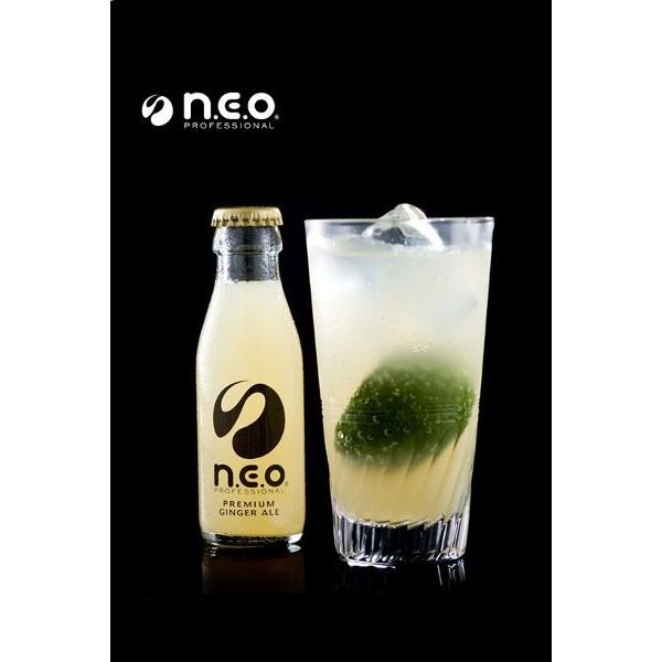 ネオ ジンジャーエール 95ml×1本