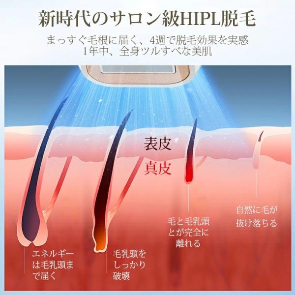 syuseisya_b1s206b-1_5_d_20250415125938