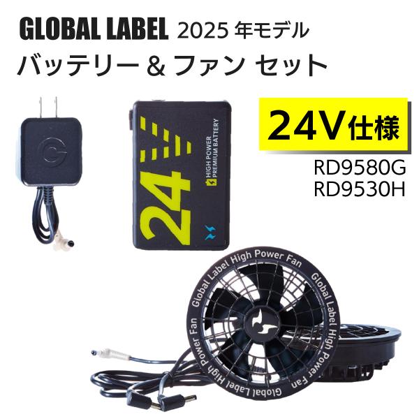 サンエス用　バッテリー2台 syuunounavi_4537065699093-seta