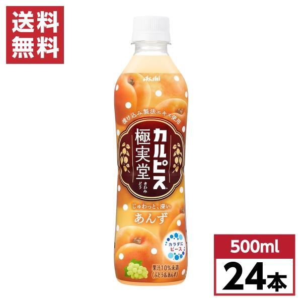 まとめ買い】 カルピス 極実堂 あんず ペットボトル 500ml×24本 箱買い  