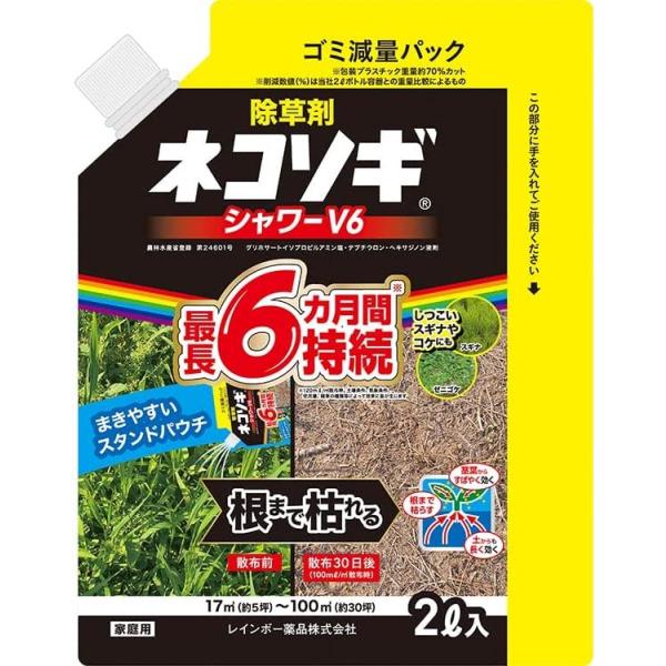 ネコソギ　2個セット ネコソギ 2個セット 4f8387c286344a9cb60ba959674ee4