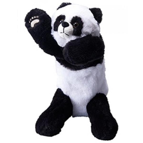 syuunounavi_4971660779642