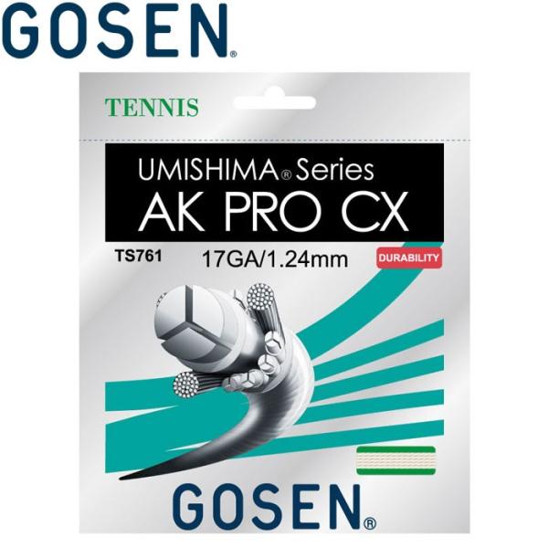 �S�[�Z�� �d���e�j�X�X�g�����O�X �K�b�g �E�~�V�} AK�v��CX17 TS761-NA