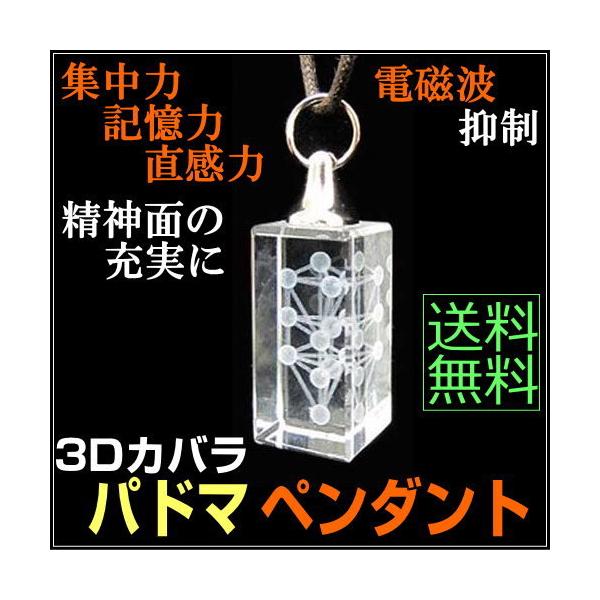 3Dカバラ・パドマペンダント3Dパドマのペンダントタイプです。身につけることで、自分自身との深いつながりやインスピレーション、さらに基本の働きに加えて直観力や自己受容等、精神的側面の充実を助けます。「生命の樹」を三角すいに立体化したものがモ...